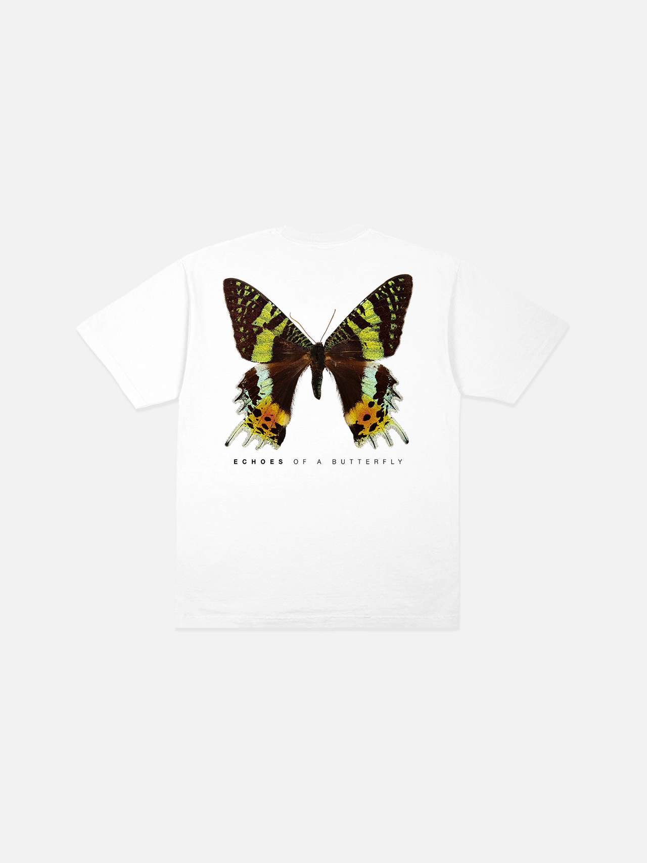 Echo Tee - White