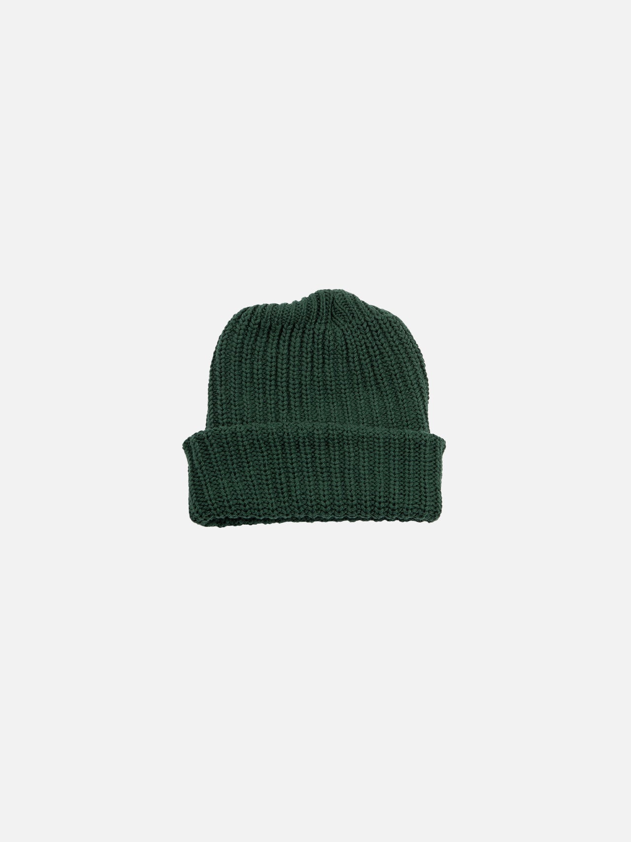 Heavy Knit Beanie - Dani Green